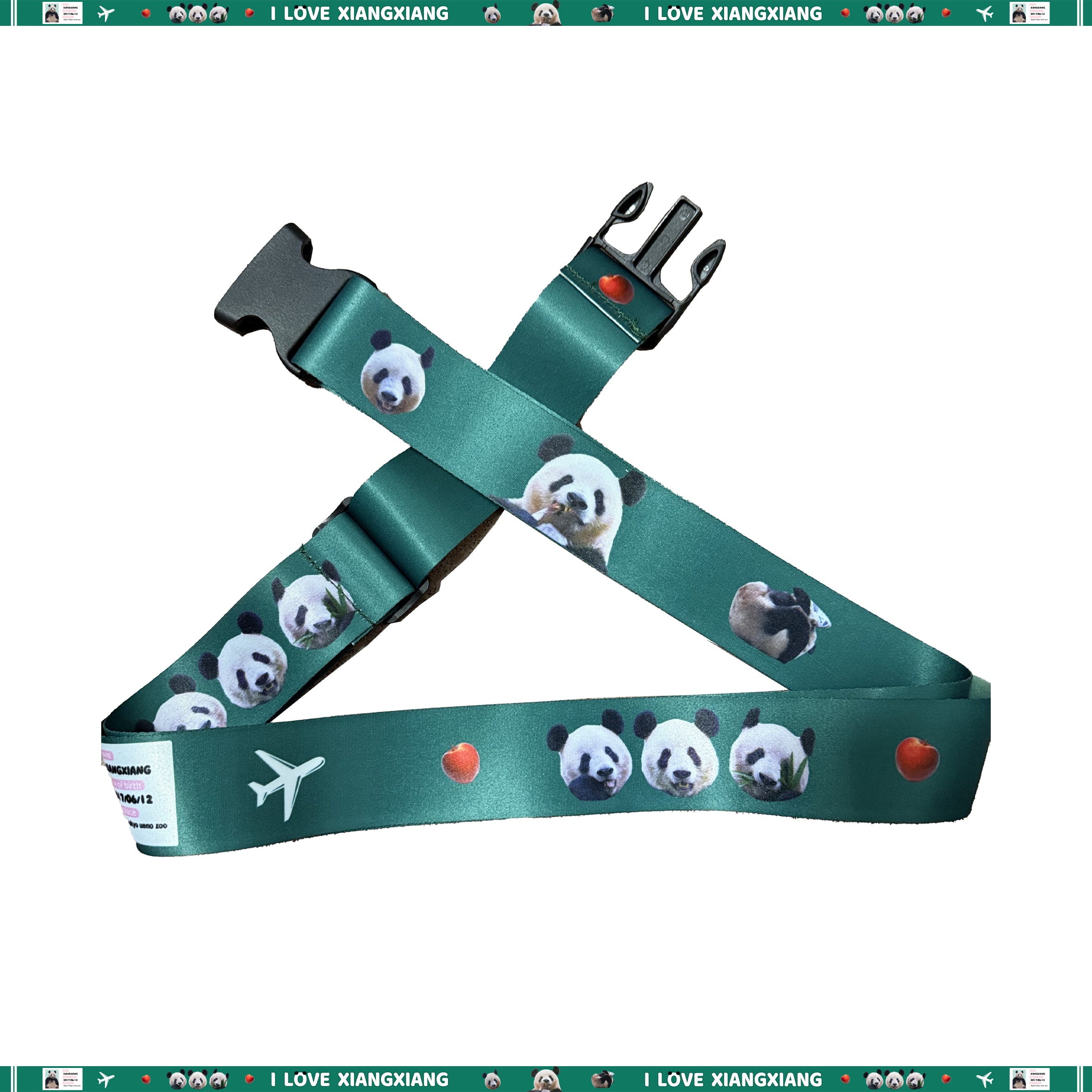 スーツケース　トラベルベルト