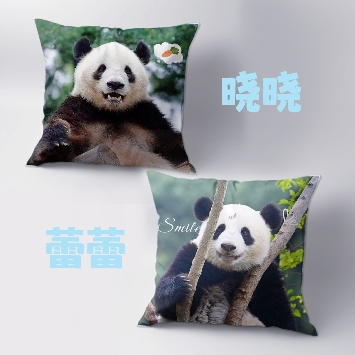 香&晓&蕾 クッション（3種）