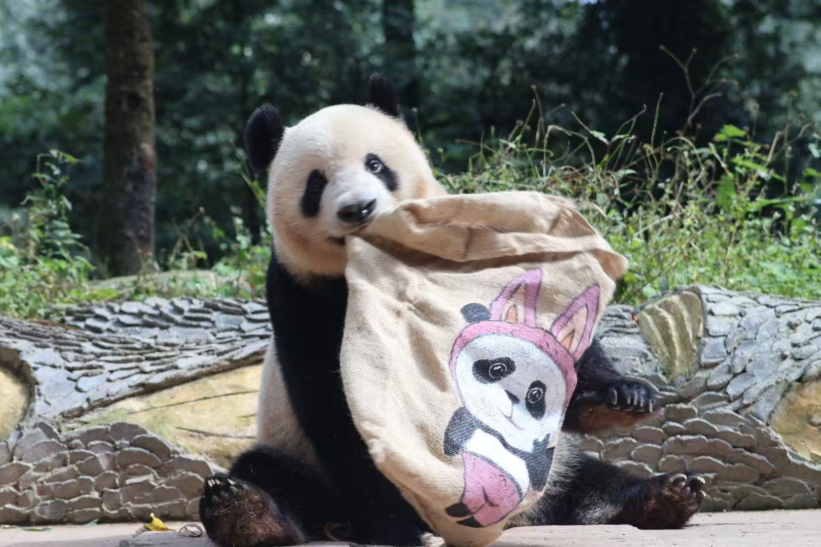 シャンシャンとお揃いのバツグ