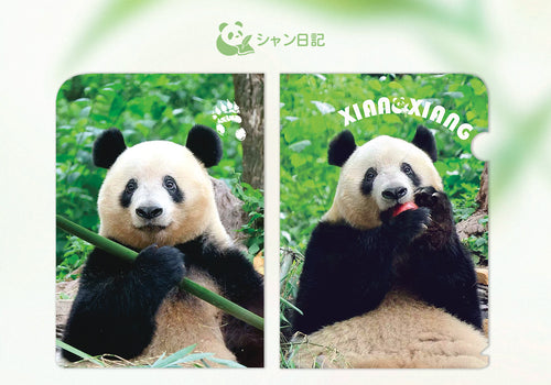 シャンシャンA4ファイルフォルダー（2デザイン）