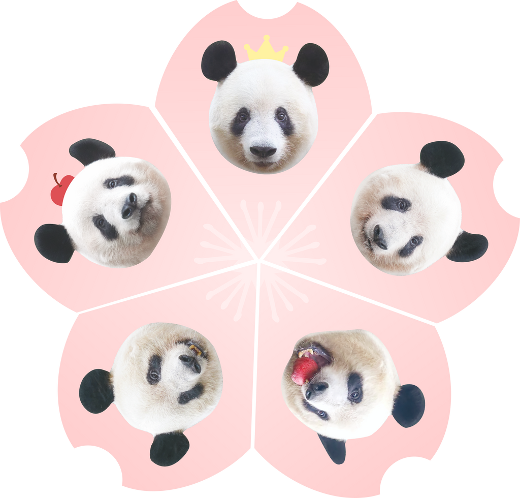 パズル　マグネットset