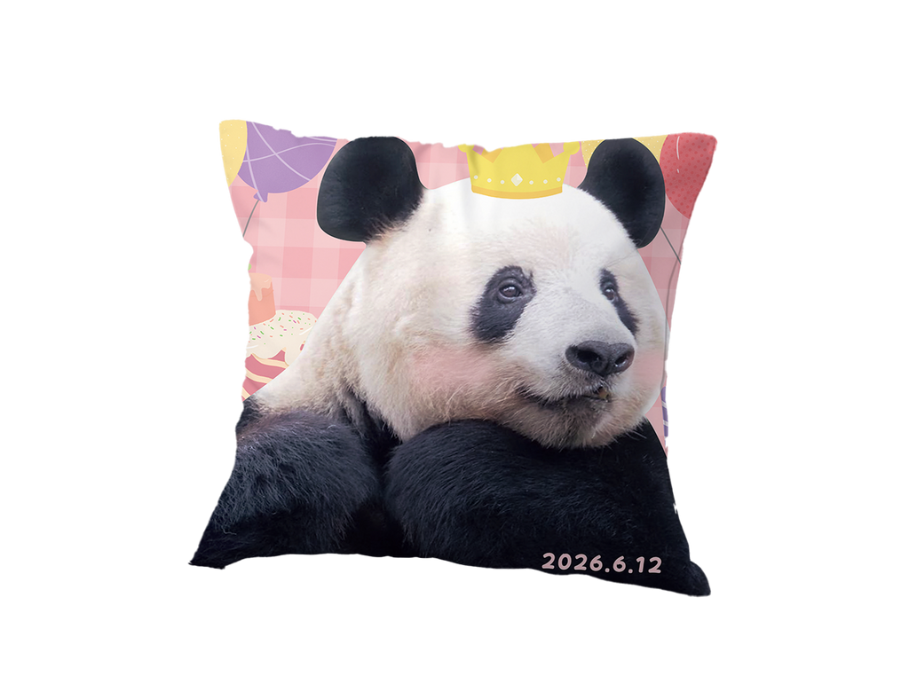 シャンシャン9歳　誕生日クッション