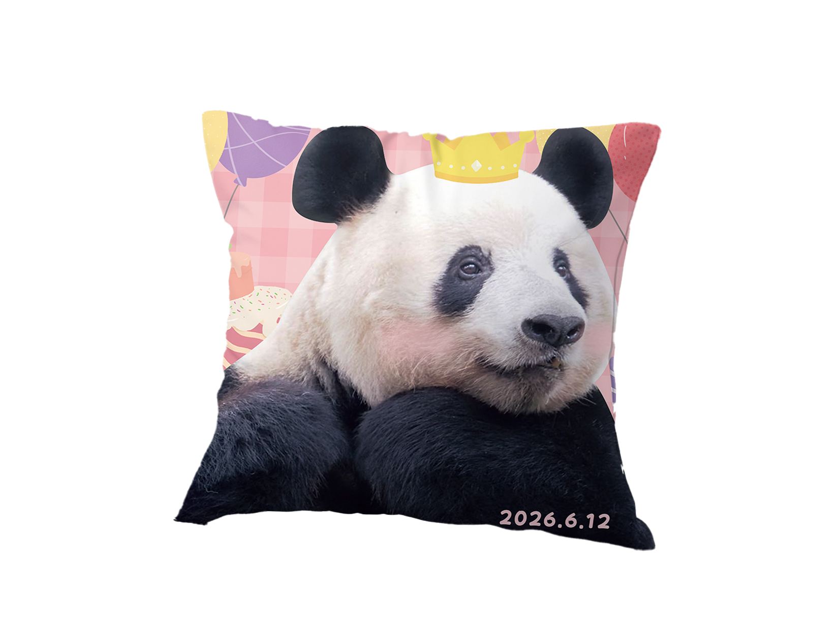 シャンシャン9歳　誕生日クッション