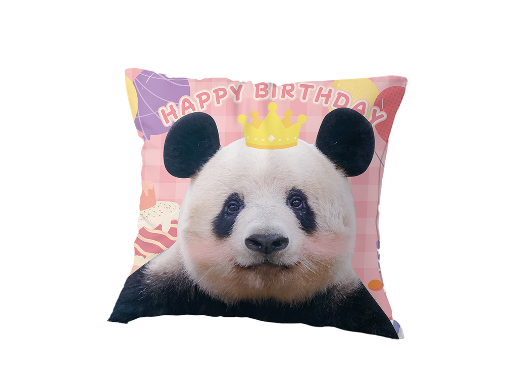 シャンシャン9歳　誕生日クッション