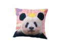 シャンシャン9歳　誕生日クッション