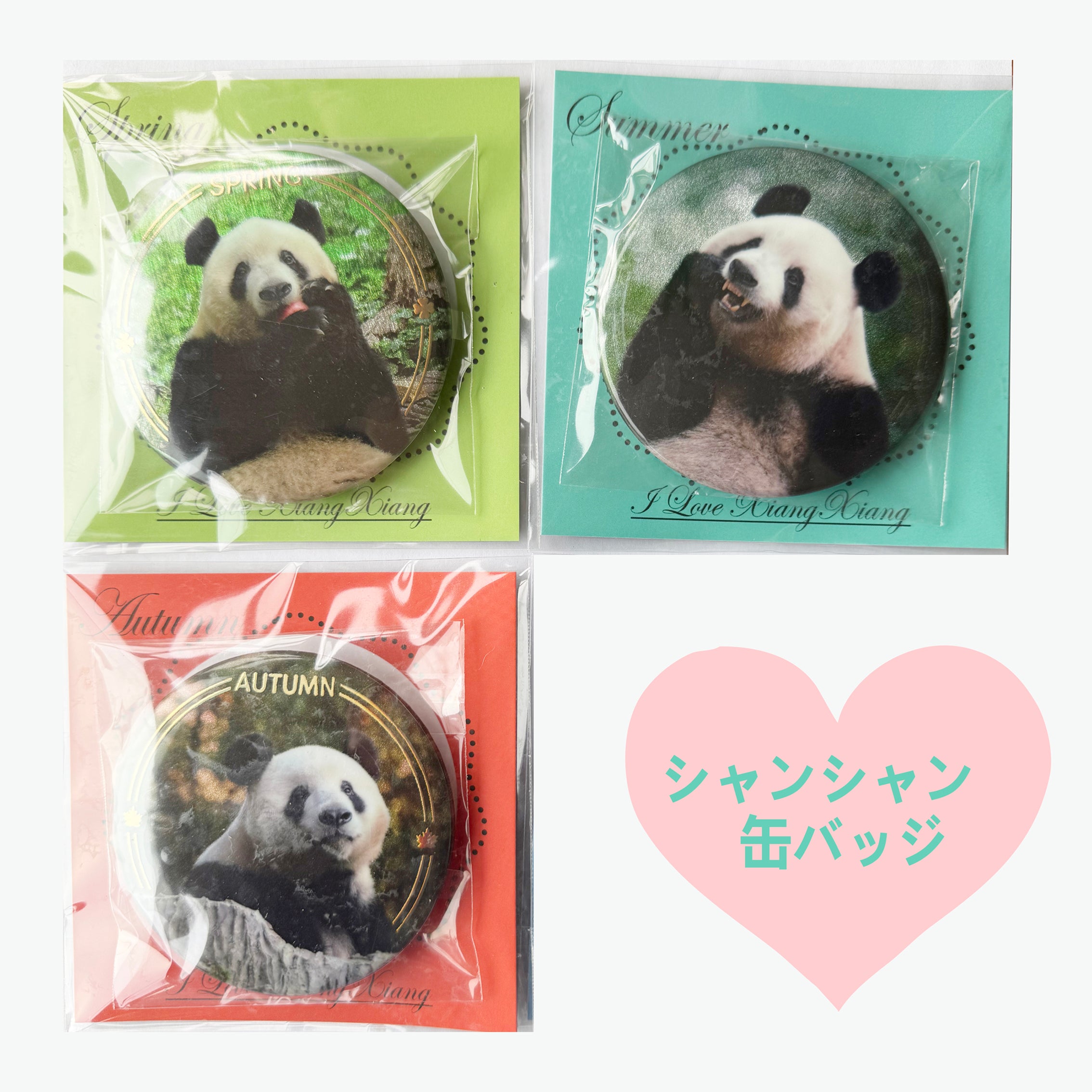 シャンシャン缶バッジ