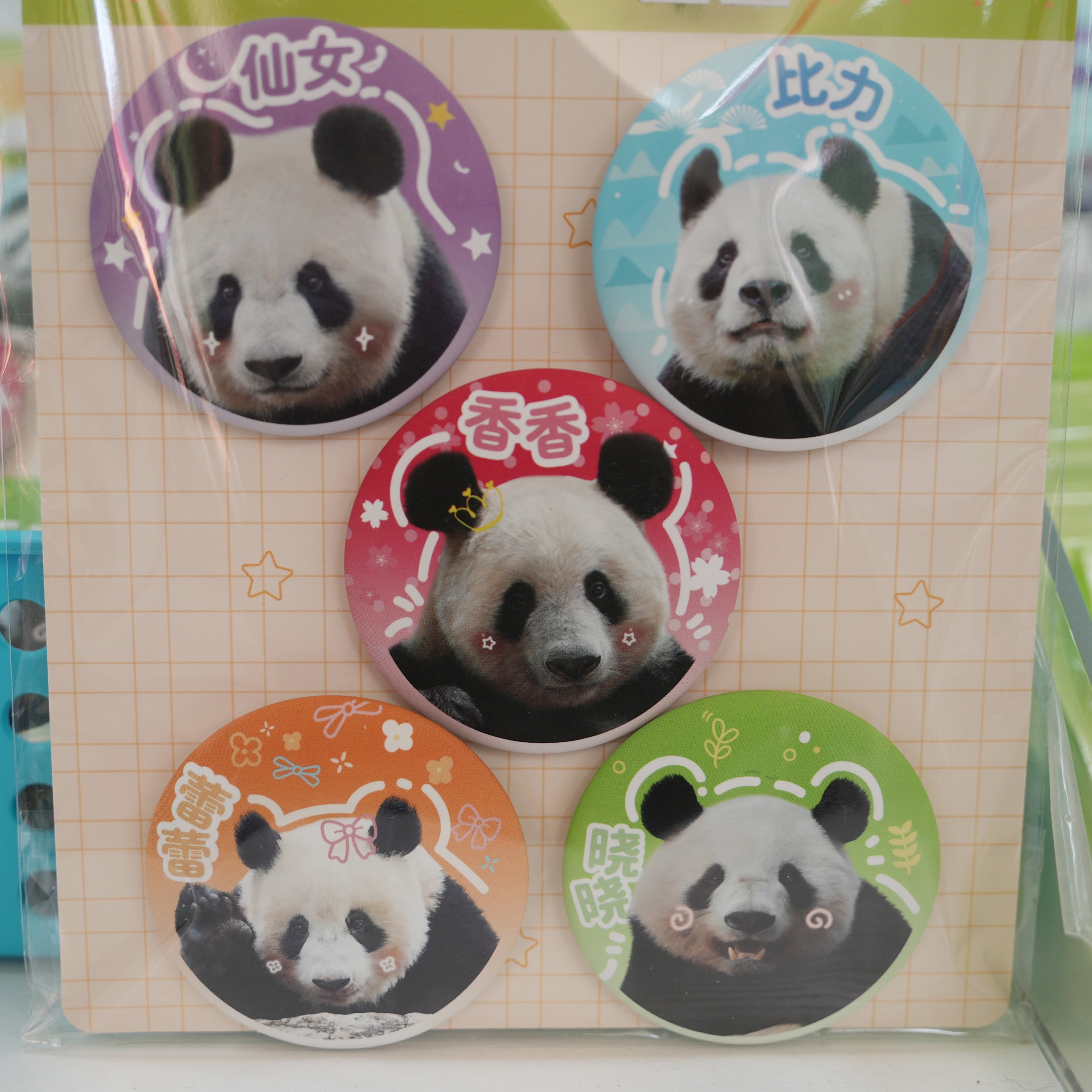 ハローパンダ「シャンシャン 家族」バッジ【代理購入】