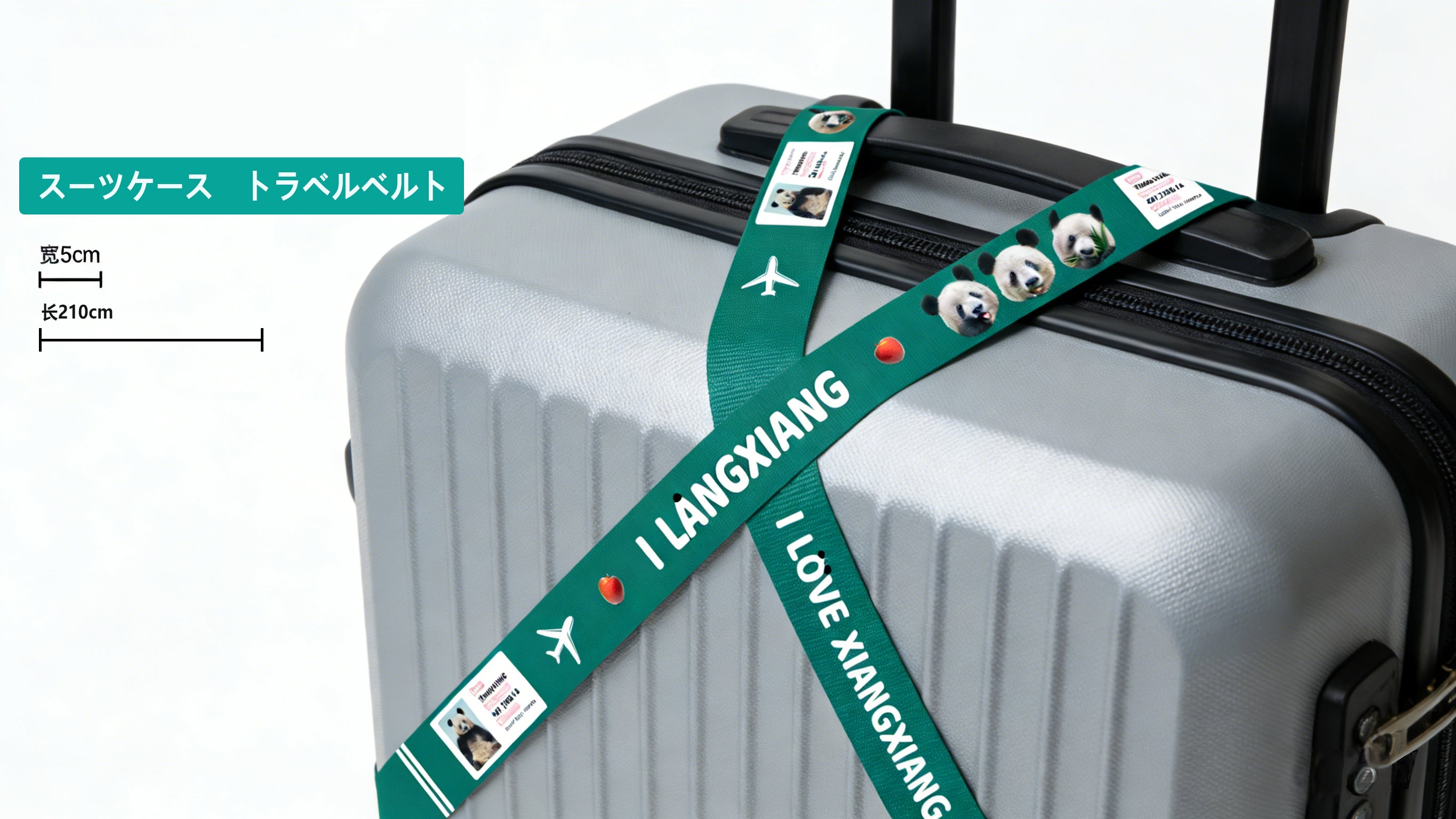 スーツケース　トラベルベルト