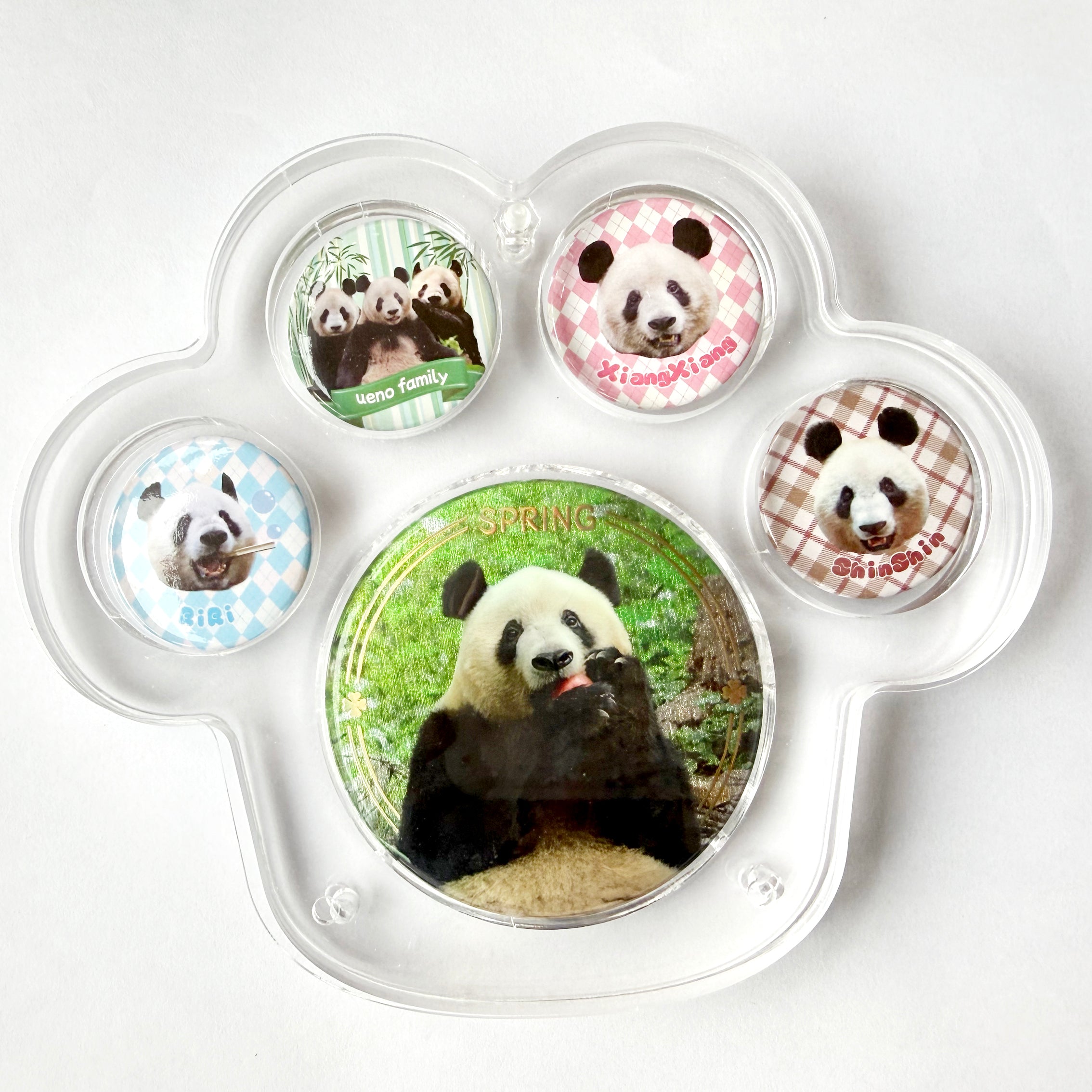 上野ファミリー缶バッジset